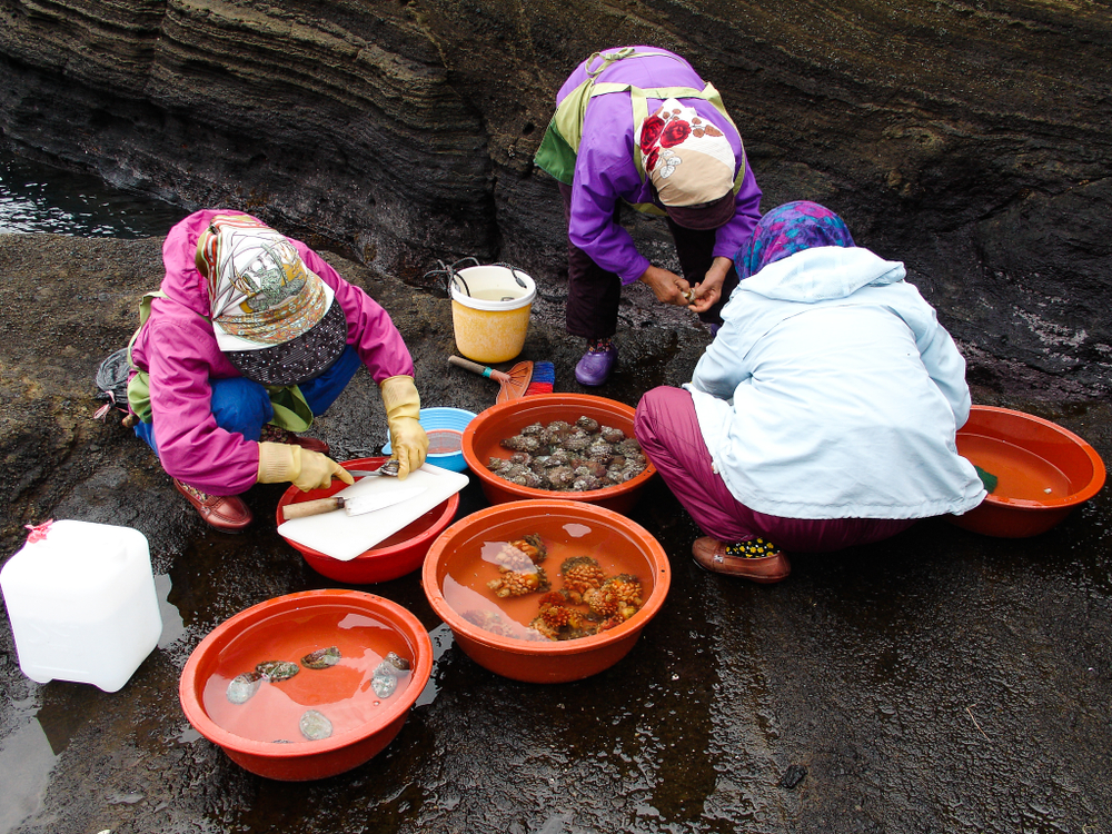 Haenyeo_pescatrici Jeju